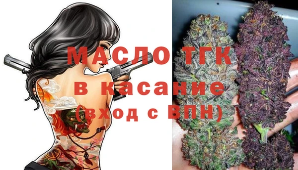 мет Алексин