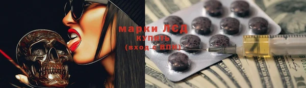 мет Алексин