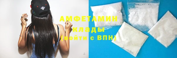 мет Алексин