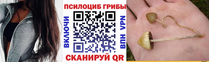 купить наркотик  Кропоткин  Галлюциногенные грибы MAGIC MUSHROOMS 